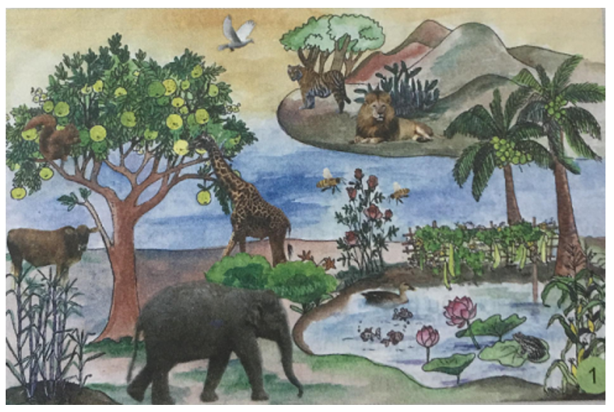 Xung Quanh: Khám Phá Thế Giới Bao Quanh Bạn Gallery 1