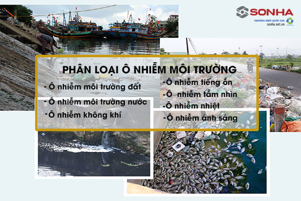 Các Loại Ô Nhiễm Môi Trường Thường Gặp
