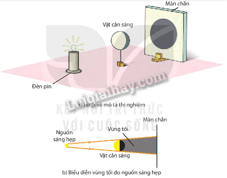 Thế nào là bóng tối? Gallery 2