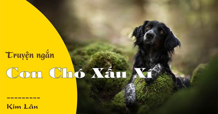 Phân tích Con Chó Xấu Xí Gallery 1
