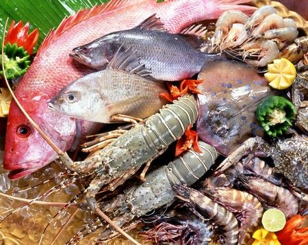 Thế nào là đồ tanh?