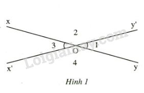 Hai Góc Đối Đỉnh Là Gì?