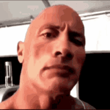 The Rock Mêm là gì? Khám phá thế giới meme hài hước của Dwayne "The Rock" Johnson
