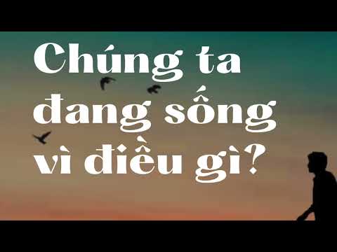Theo em thì ta đang sống vì điều gì?