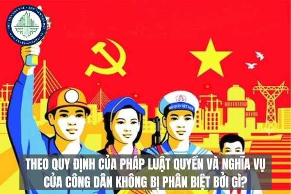 Quyền và Nghĩa vụ của Công dân không bị phân biệt đối xử