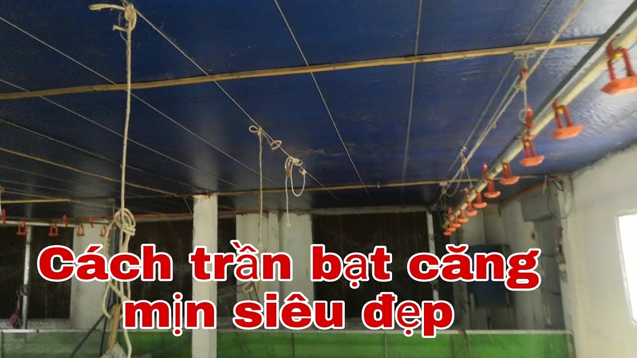 Trần Chuồng: Thông tin chi tiết về vật liệu, thi công và giá cả Gallery 2