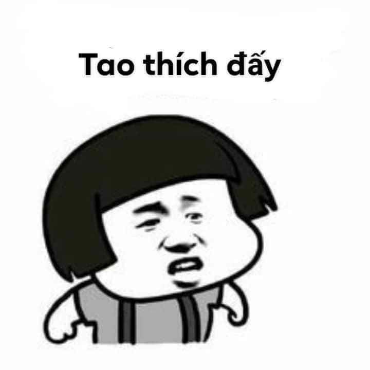 Thích Meme: Tại Sao Chúng Ta Yêu Thích Những Hình Ảnh Hài Hước Này?