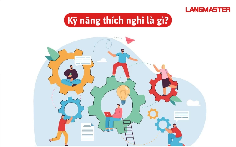 Thích Nghi Với Cuộc Sống Là Gì?