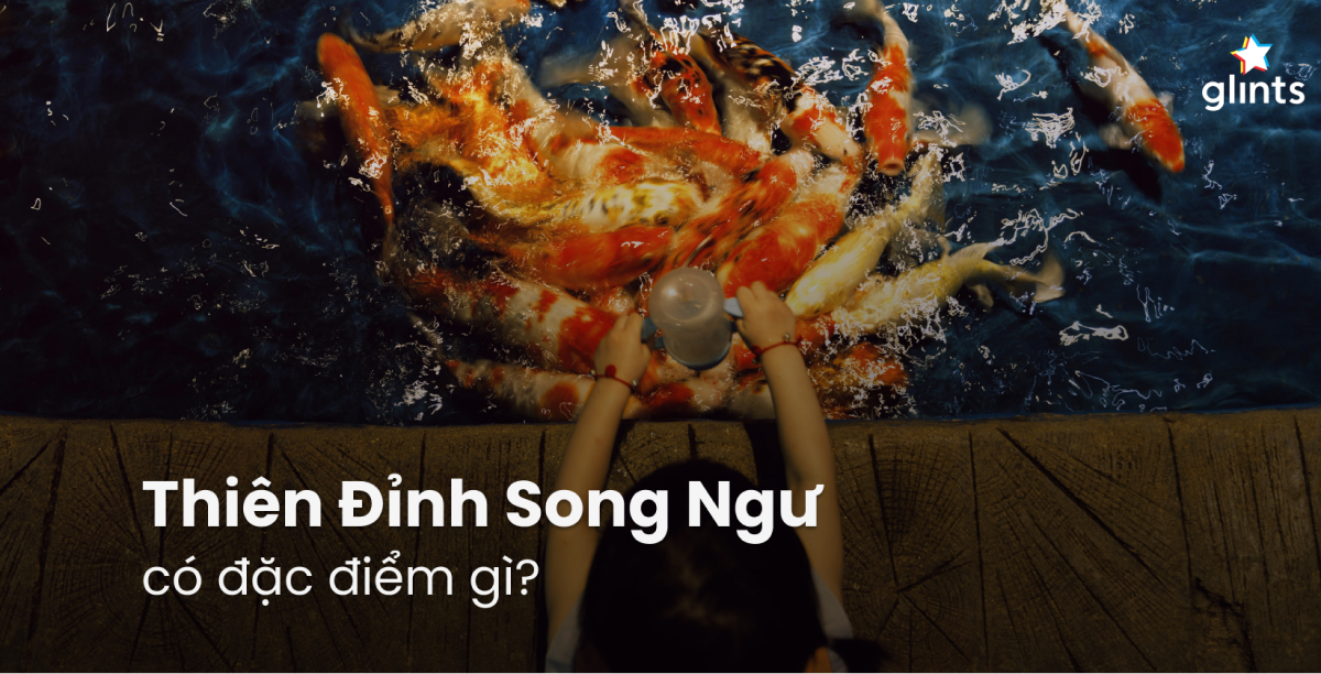 Thiên Đỉnh Song Ngư: Tìm Hiểu Về Cuộc Đời Dịu Dàng Và Tâm Linh