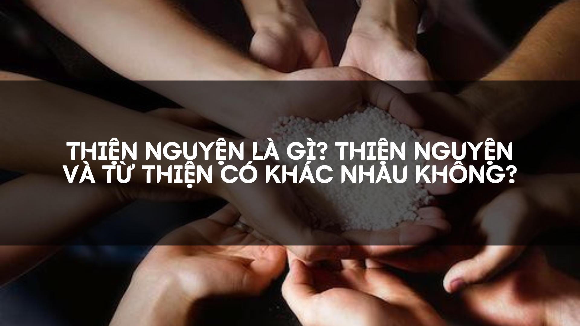Thiện nguyện và Từ thiện khác nhau như thế nào?