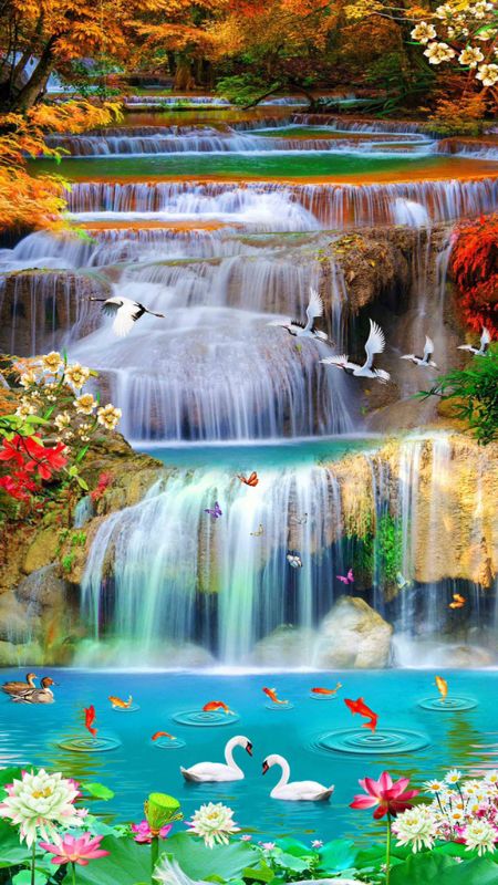 Thiên nhiên hình nền phong cảnh đẹp