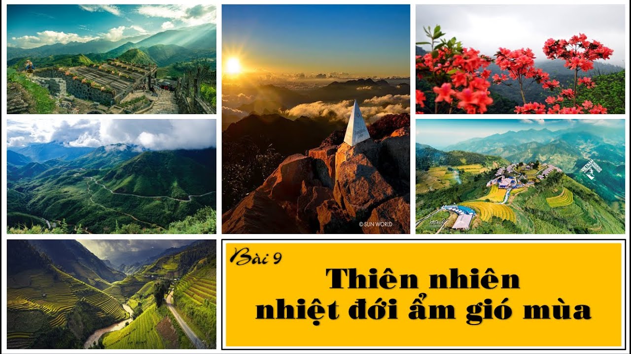 Thiên nhiên nhiệt đới ẩm gió mùa