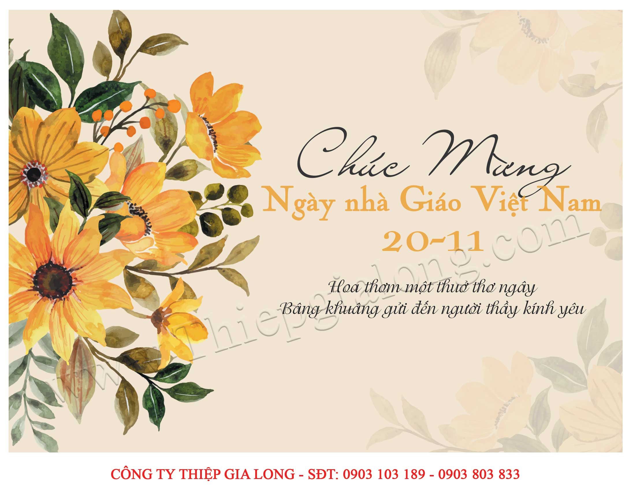 Mẫu Thiệp Cảm Ơn Thầy Cô Giáo Ý Nghĩa và Cách Viết Hay Nhất