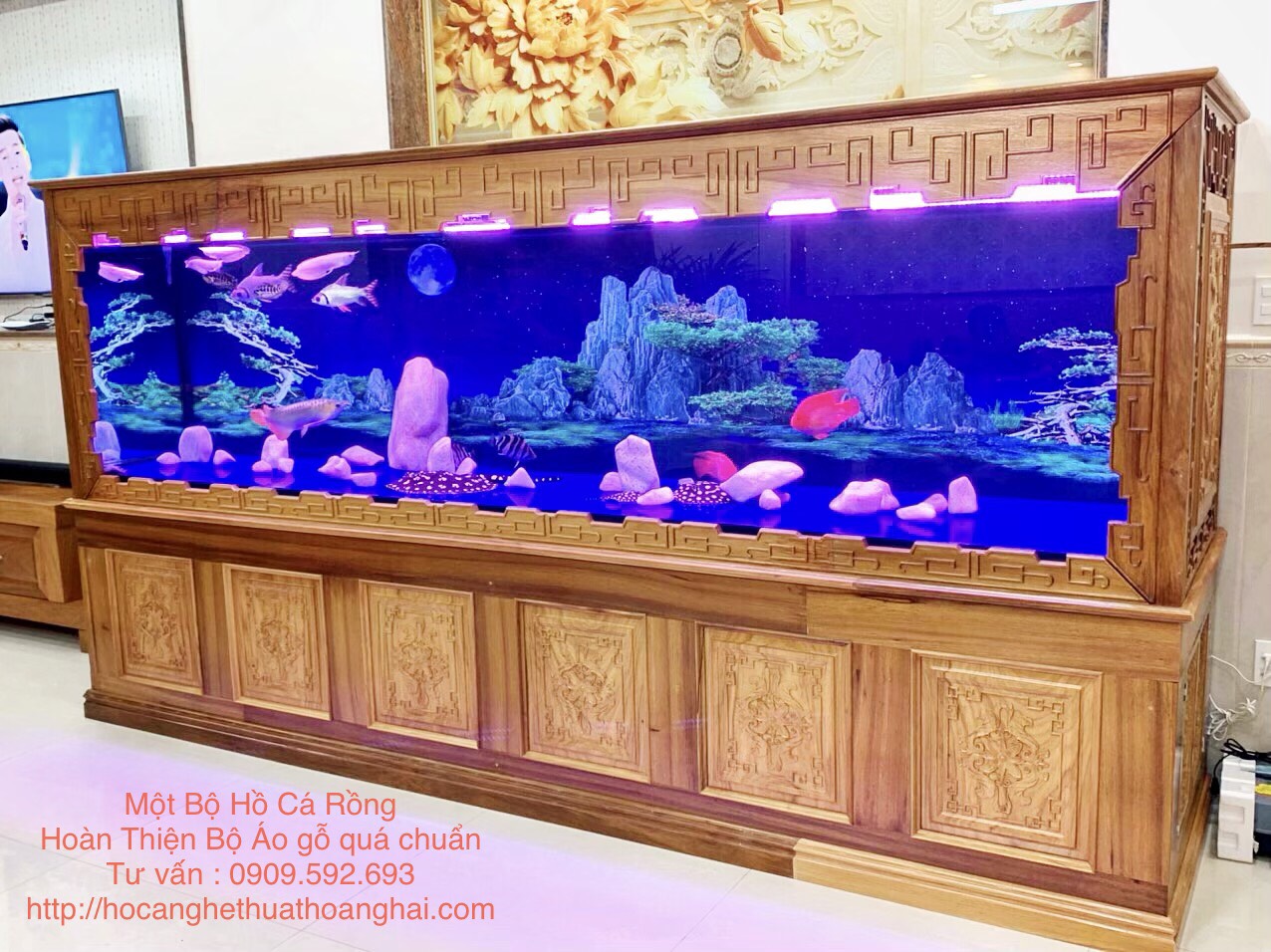 Hồ Nuôi Cá Rồng: Thiết Kế, Chăm Sóc và Lựa Chọn Gallery 1