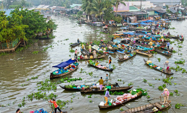 Khó khăn chủ yếu trong nuôi trồng thủy sản nước ngọt ở Đồng bằng sông Cửu Long hiện nay là gì? Gallery 1