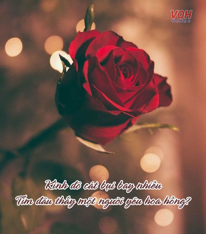 Thơ Hai Câu Về Hoa