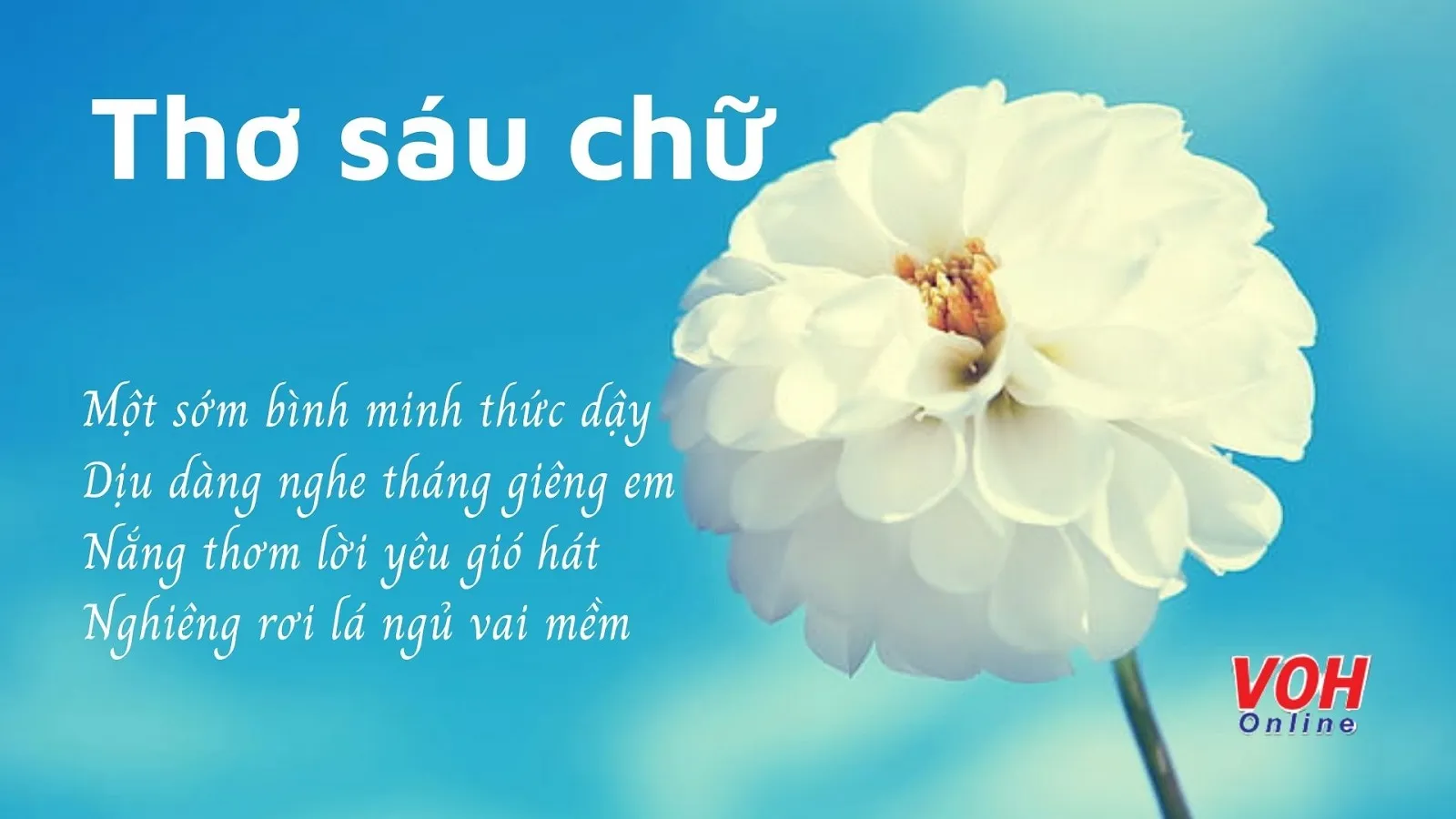 Thơ 6 Chữ:  Tuyển Tập Hay Nhất, Đầy Cảm Xúc