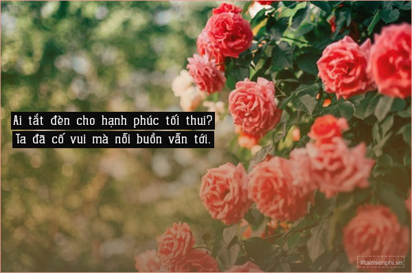 Thơ Buồn Ngắn 2 Câu Hay Nhất