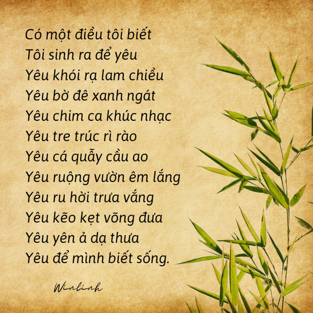 Thơ Buông Bỏ: Giải Thoát Tâm Hồn, Tìm Về An Lành