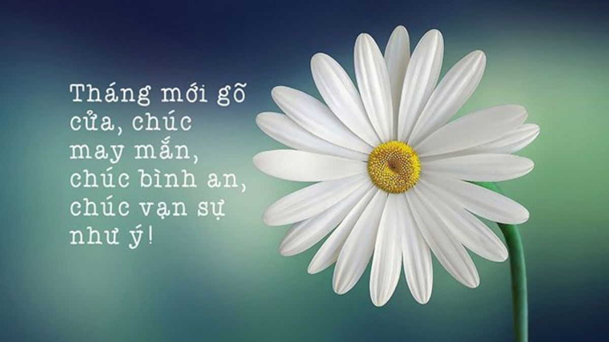 Thơ Chào Tháng Mới Hay Nhất