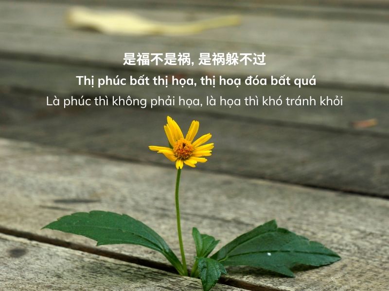 Thơ Hán Việt Về Cuộc Sống: Triết Lý Sống Gọn Gàng Qua Những Vần Thơ Cổ Điển Gallery 2