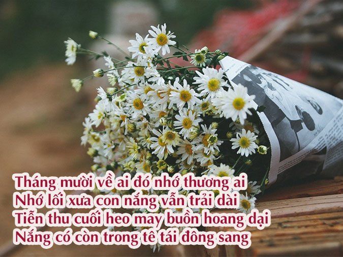 Thơ Hay Tháng 10 - Mùa Thu Vàng Rơi