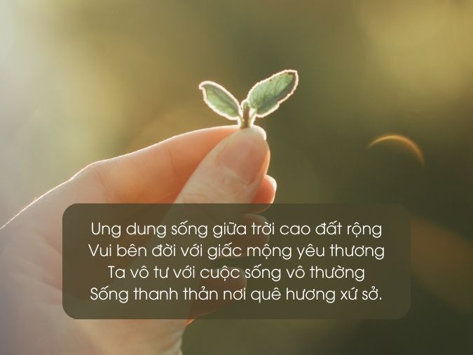 Thơ Hay Về Đời: Những Vần Thơ Sâu Lắng Về Cuộc Sống Gallery 1
