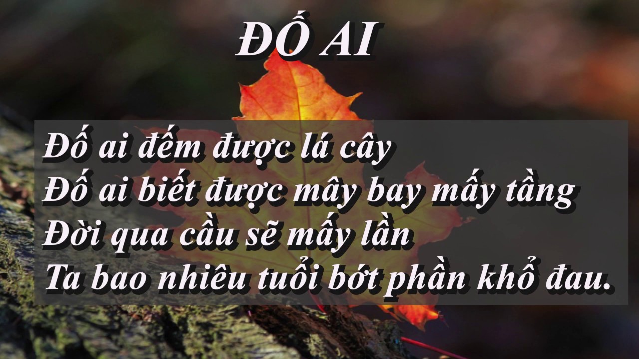 Thơ Hay Ý Nghĩa: Gợi mở tâm hồn và lan tỏa cảm xúc