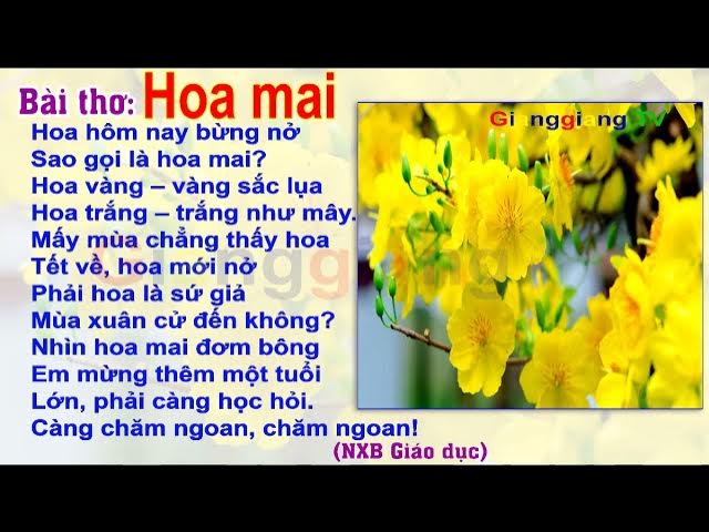 Thơ Hoa Mai: Tuyển Tập Thơ Hay Về Loài Hoa Xuân Tết