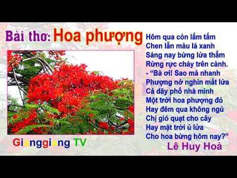 Thơ Hoa Phượng -  Những Vần Thơ Về Mùa Hè Và Tuổi Học Trò