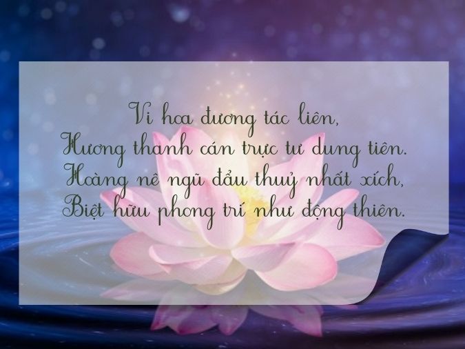 Thơ Hoa Sen - Vẻ Đẹp Tinh Khiết và Ý Nghĩa Sâu Sắc Gallery 1
