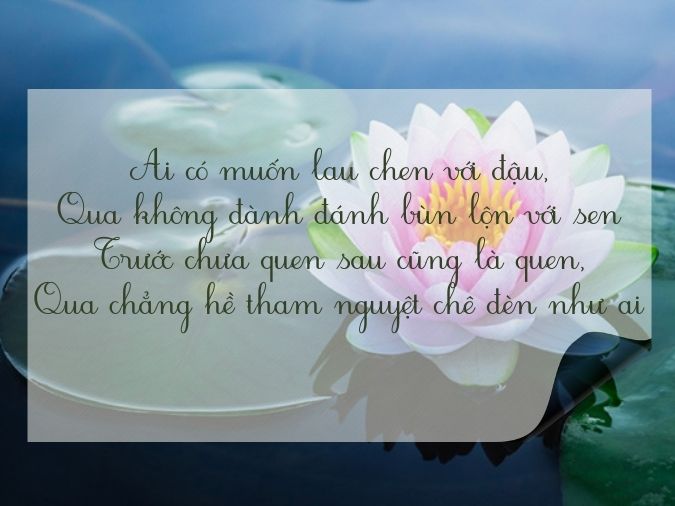 Thơ Hoa Sen - Vẻ Đẹp Tinh Khiết và Ý Nghĩa Sâu Sắc Gallery 2