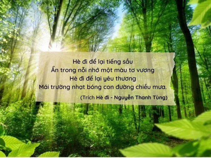 Thơ Lục Bát 4 Câu Hay Về Tình Yêu, Cuộc Sống