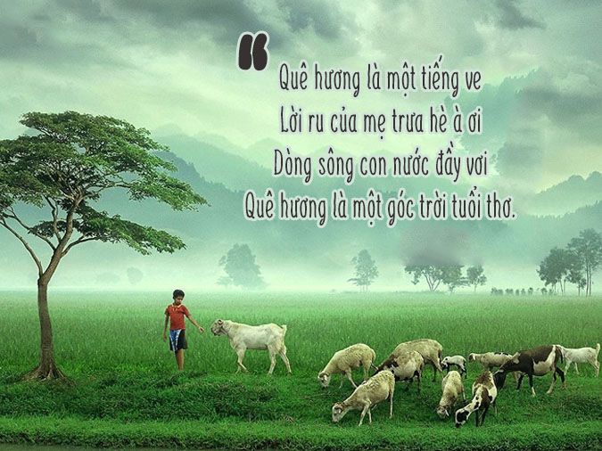 Thơ Lục Bát Quê Hương: Vẻ Đẹp và Sức Sống Của Đồng Quê