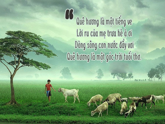 Những câu thơ lục bát hay nhất về tình yêu, quê hương và cuộc sống Gallery 2