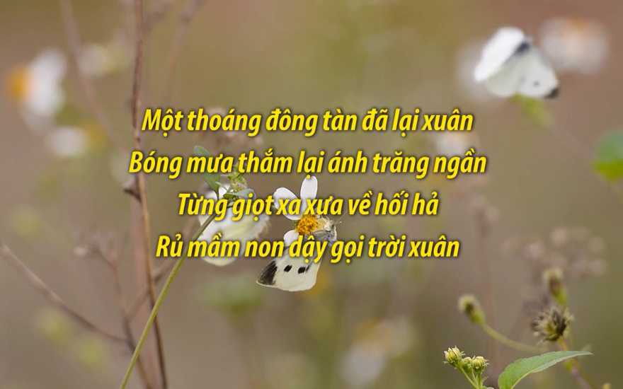 Thơ Mùa Xuân Hay Nhất Gallery 2