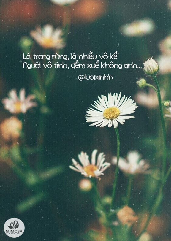 Thơ Ngắn Buồn - Những Vần Thơ Đầy Tâm Trạng