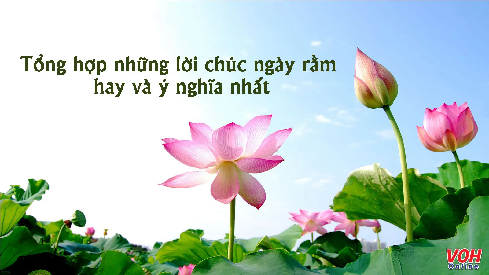 Thơ Ngày Rằm: Tuyển tập những bài thơ hay về đêm trăng rằm