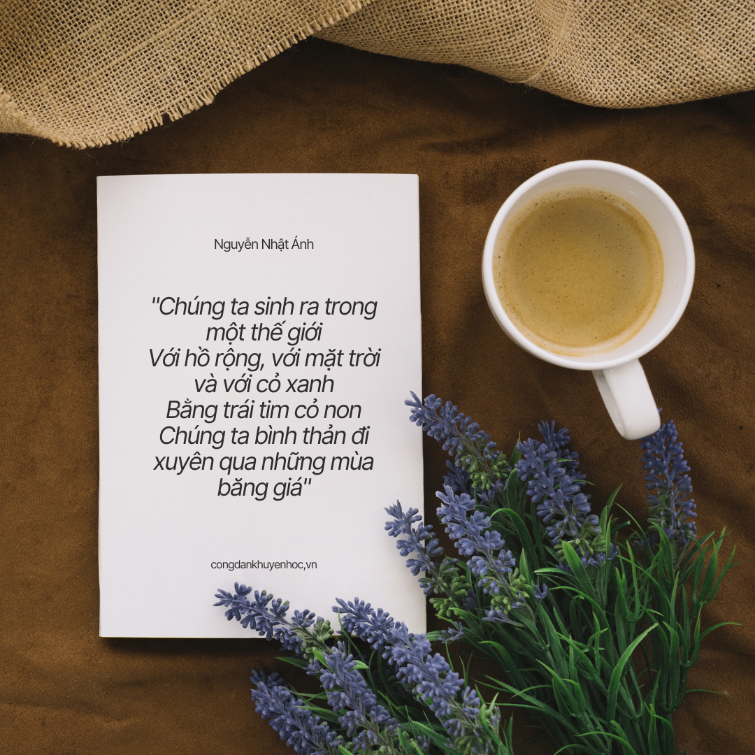 Thơ Nguyễn Nhật Ánh: Vẻ đẹp giản dị và sâu lắng của tuổi thơ