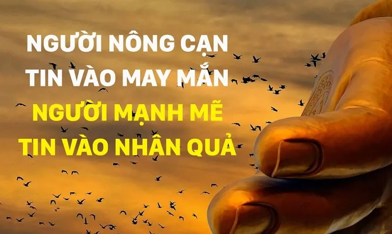 Thơ Nhân Quả: Giác Ngộ Sâu Sắc Về Luân Hồi và Định Mệnh