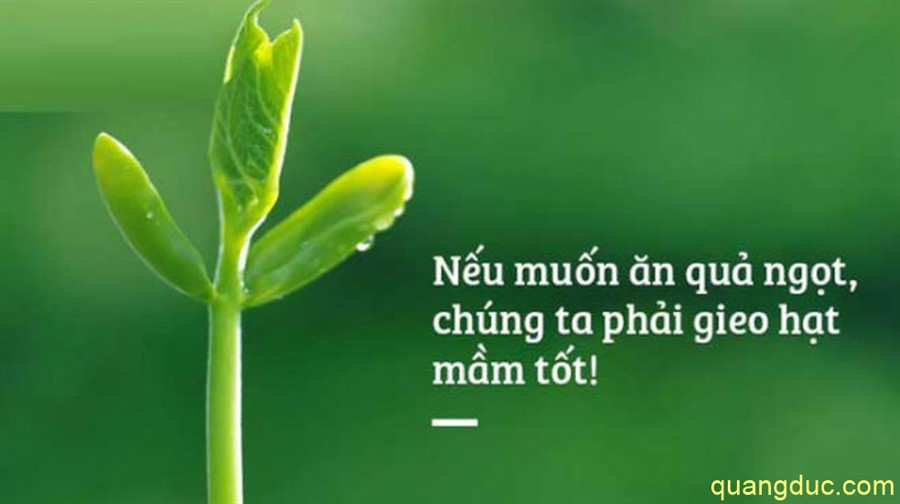 Thơ Nhân Quả: Giác Ngộ Sâu Sắc Về Luân Hồi và Định Mệnh Gallery 1