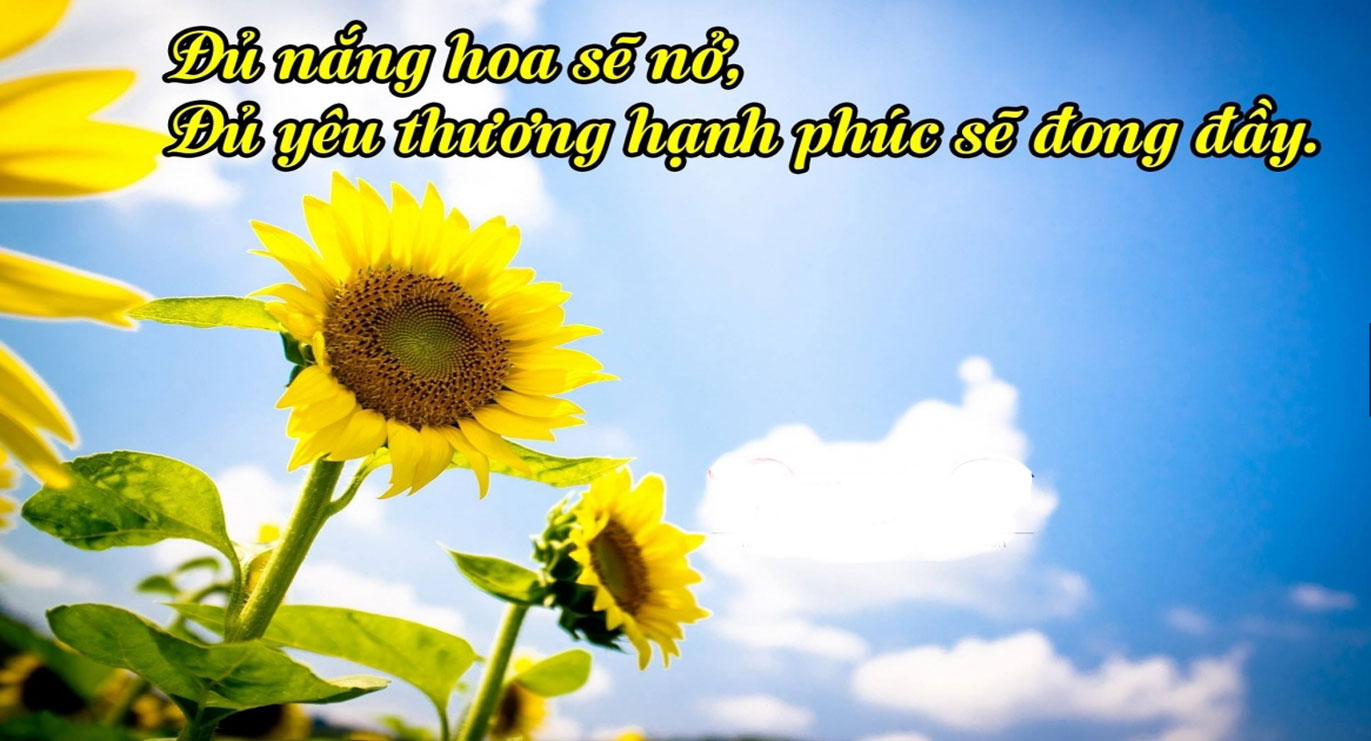 Thơ Hay Về Cuộc Sống: Những Câu Thơ Đánh Thức Tâm Hồn