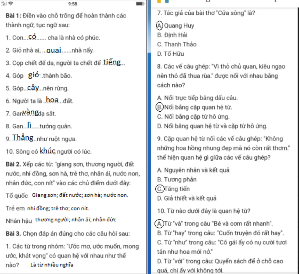 Thớ nối với từ gì? Gallery 2