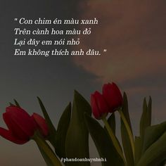 Thơ Sad Buồn Tâm Trạng: Những Vần Thơ Xé Xát Tâm Can