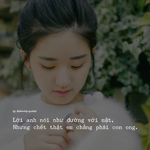 Thơ Status Hay: Tuyển Tập Những Câu Thơ Ngắn Gọn, Ấn Tượng
