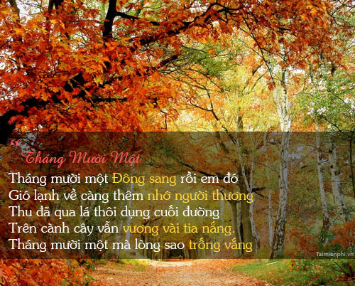 Thơ Tháng 11 - Vẻ Đẹp Sâu Lắng Của Mùa Thu Muộn Gallery 2
