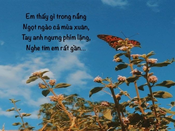 Thơ Tháng 2: Tuyển Tập Thơ Hay Về Mùa Xuân, Tình Yêu Và Niềm Hy Vọng Gallery 2