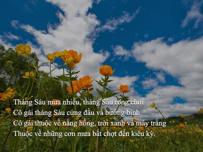 Thơ Tháng 6 - Tuyển Tập Thơ Hay Về Mùa Hè, Tình Yêu Và Tuổi Trẻ