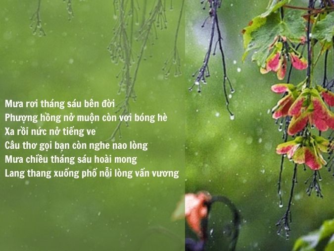 Thơ Tháng 6 - Tuyển Tập Thơ Hay Về Mùa Hè, Tình Yêu Và Tuổi Trẻ Gallery 2
