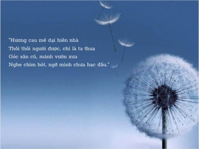 Thơ Tình Yêu 4 Câu Hay Nhất